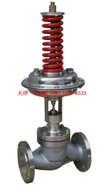 ZZYP����ʽ���ڷ�