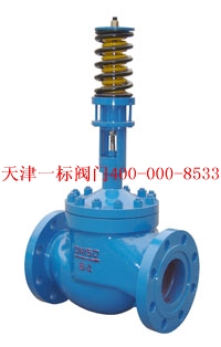 KZZYP����ʽѹ�����ڷ�