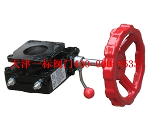 �ֶ�����